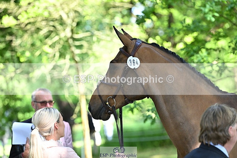 250521A-154614-00749 - B-364-Yasmin.Ingham-KINDA.CORVETTE