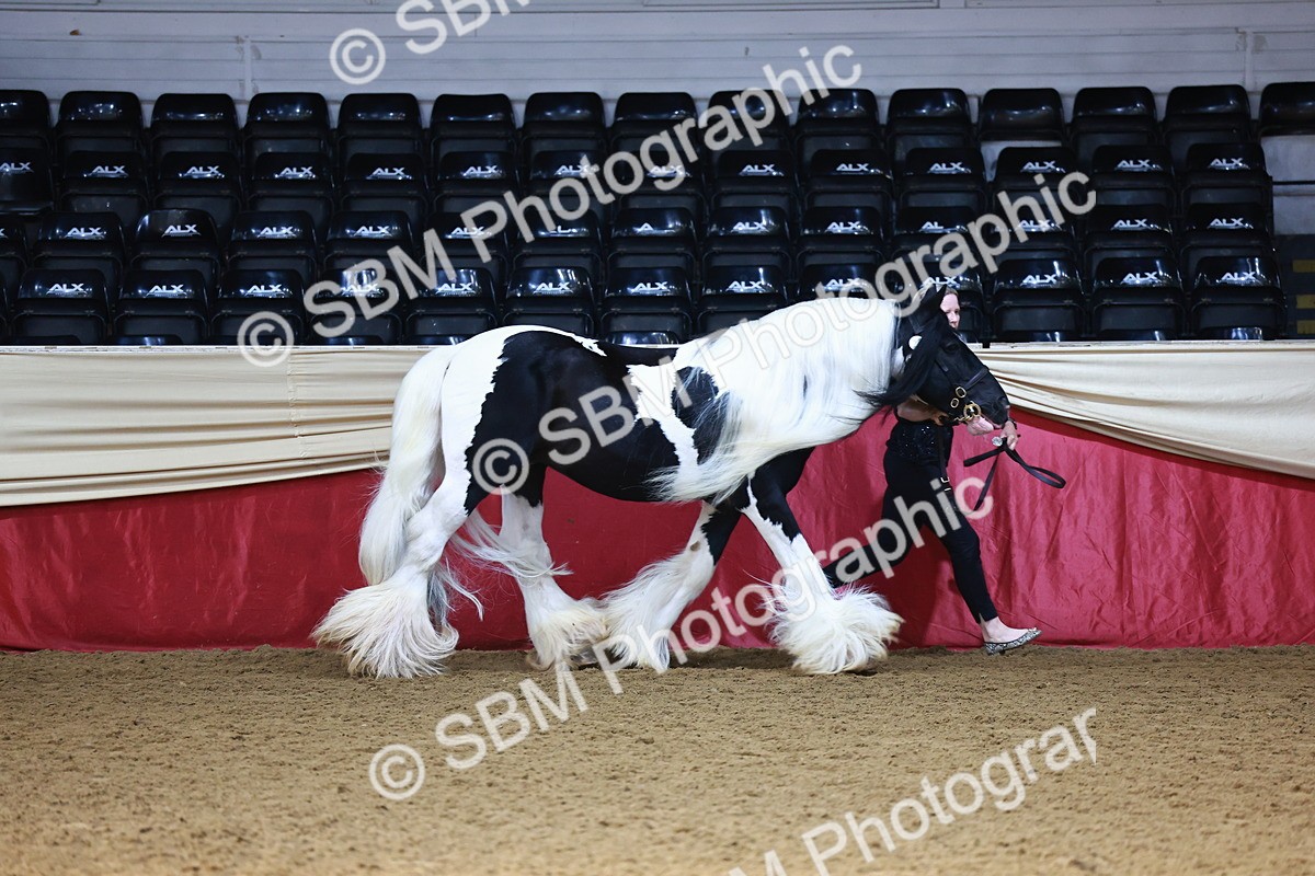 SBM_22348 - Class 902 - Supreme Final - IH Diamond