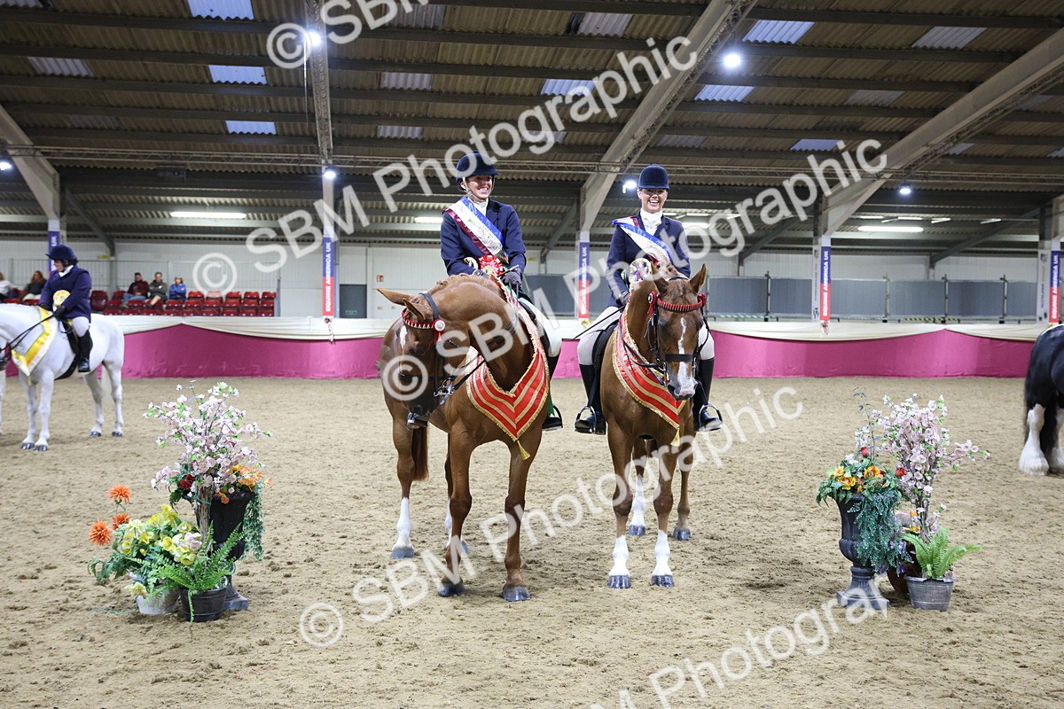 5K7A1540 - Class M Ridden Pairs Champ