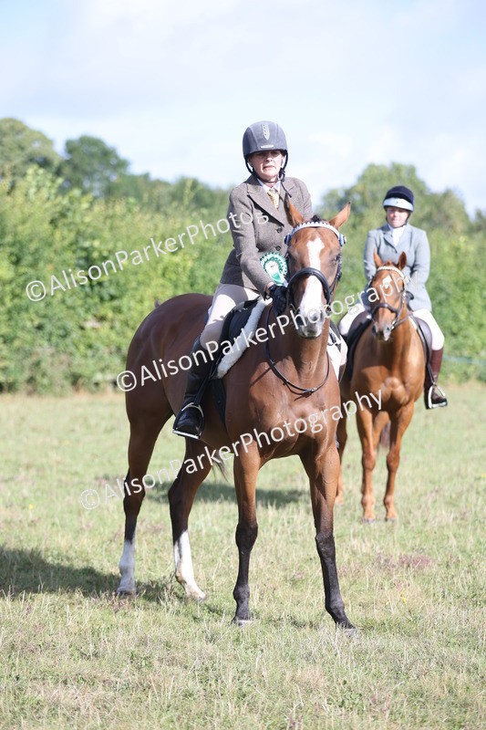 20250831-0947 - Class 14 - Ex Racehorse