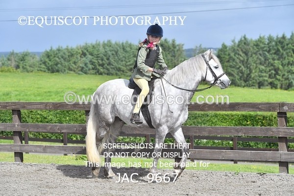 JAC_9667 - CLASS 1 Nursery Novice Working Hunter (0.50m)