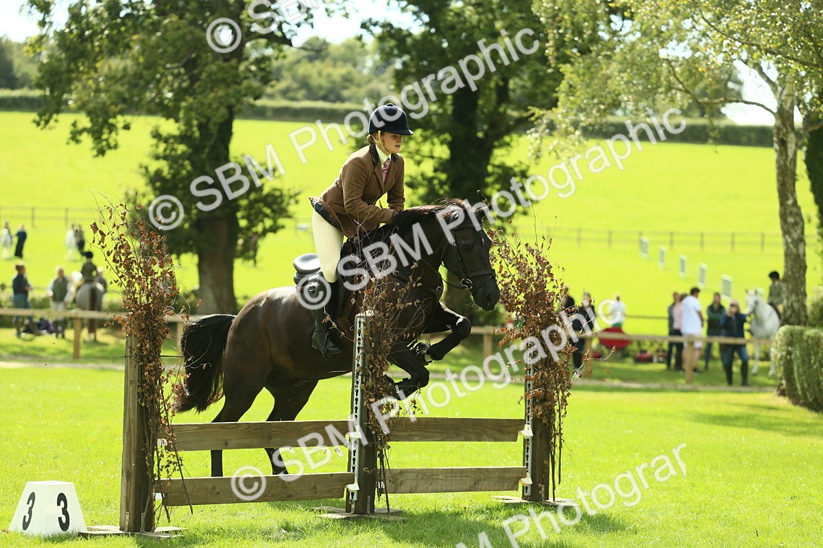 SBM_42870 - S30 - M&M Working hunter Pony