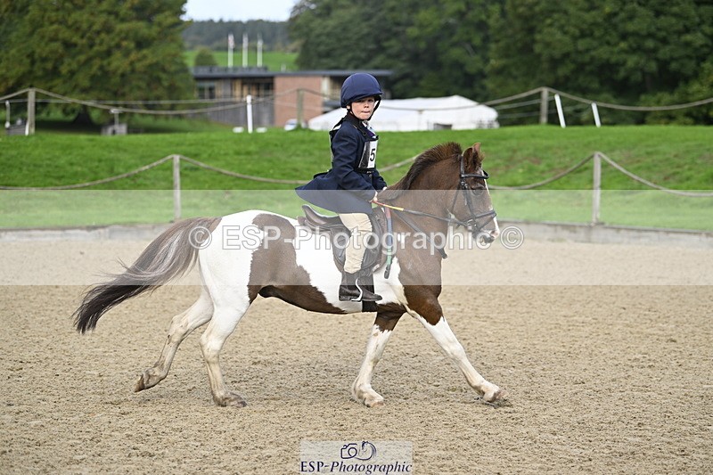 251005A-091342-03000 - Cls 02 GR 50cm