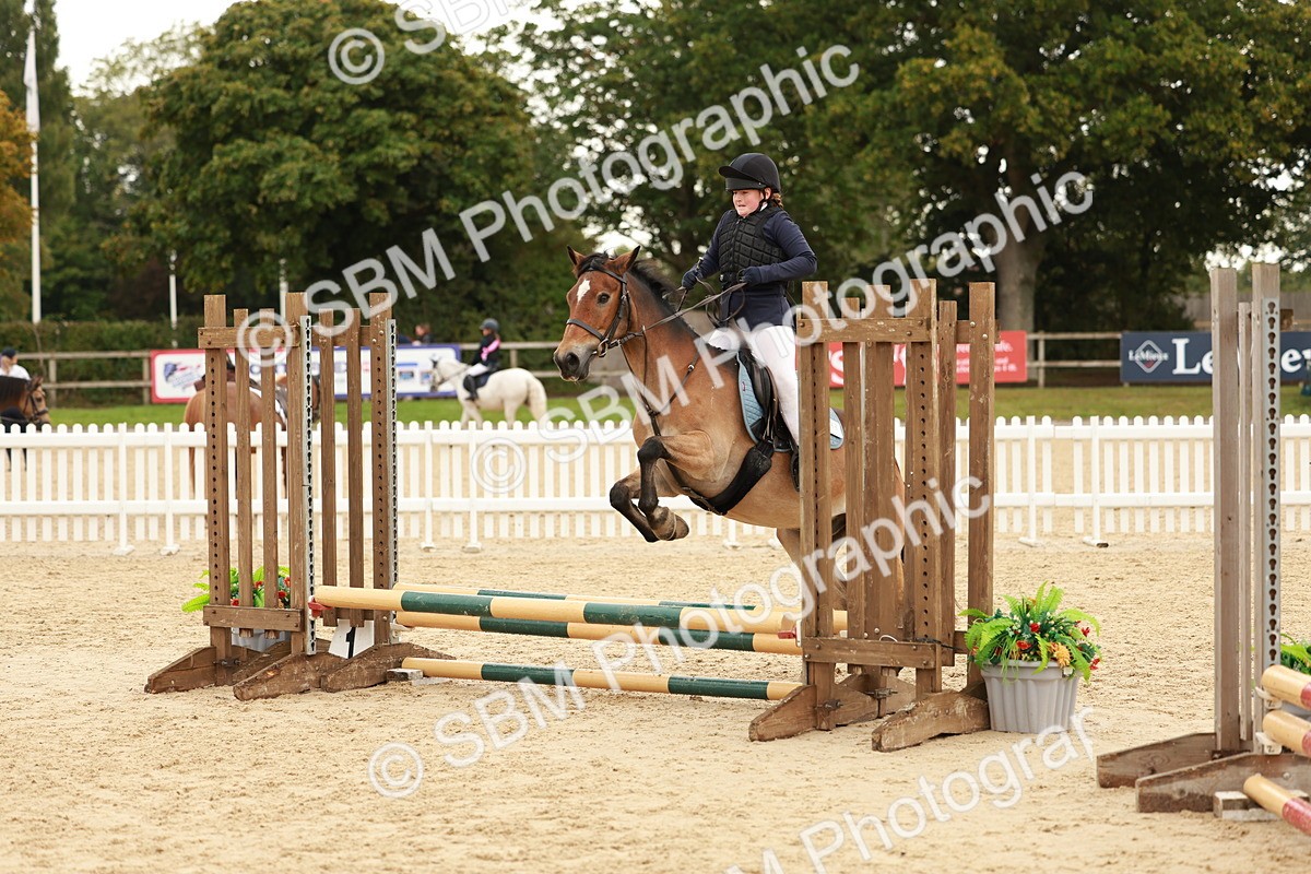 SBM_57874 - J11 - Junior Pony 50cm Championship