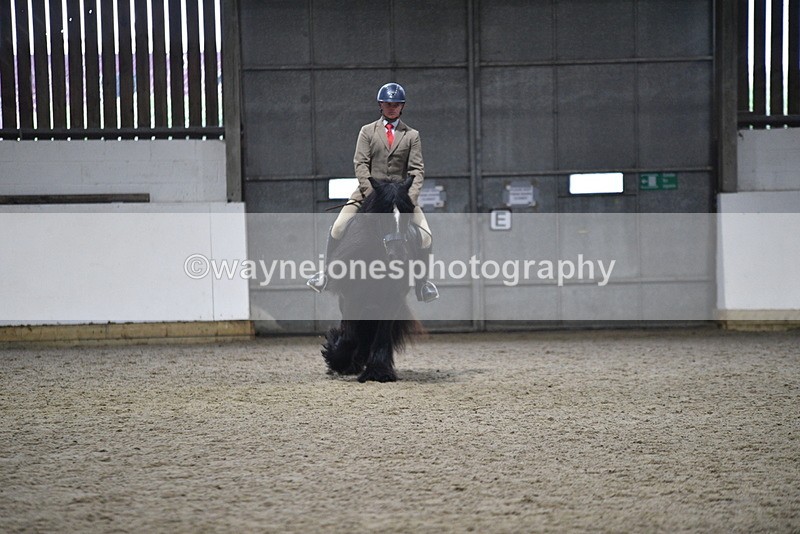 WJ5_8644 - Class 14 Novice Ridden/Rider