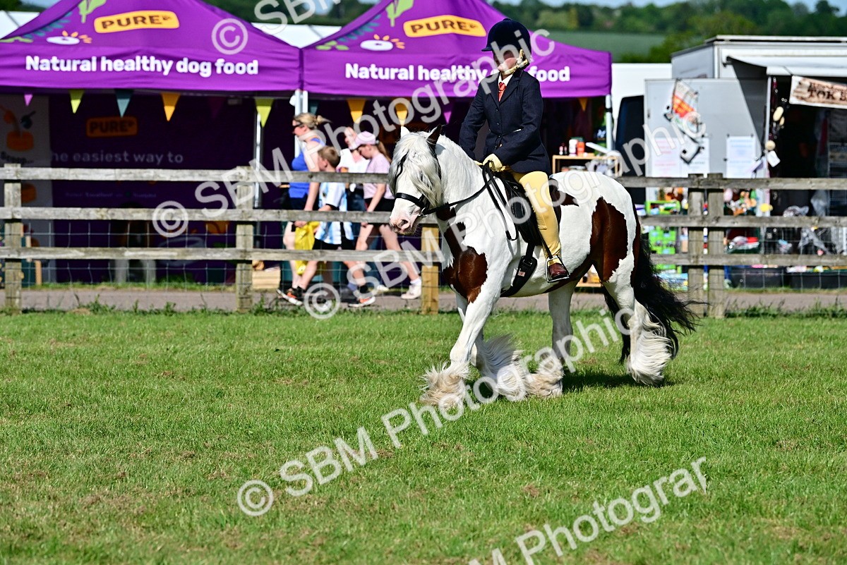 SBM_09401 - Class 63-65 - Traditional Gypsy Cobs In Hand & Ridden