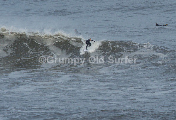 DSC_4435 - Cayton Point 30th October 2017