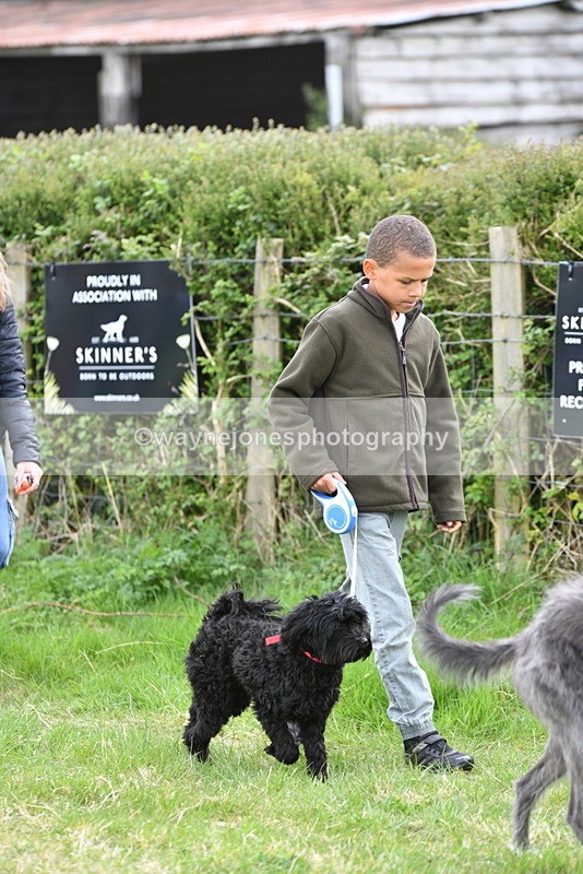 WJ5_9076 - Class 1 Best Cross Breed / Heniz 57