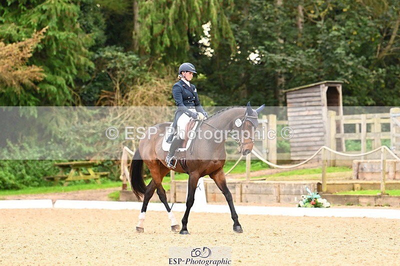 231020-150354-10075 - 312-HALVANNA.THE.LAST.SONG-Holly.Horton-DR