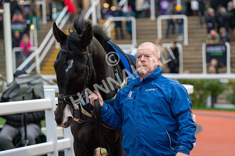 161125-Race 5-Alexei-1744 - Race 5