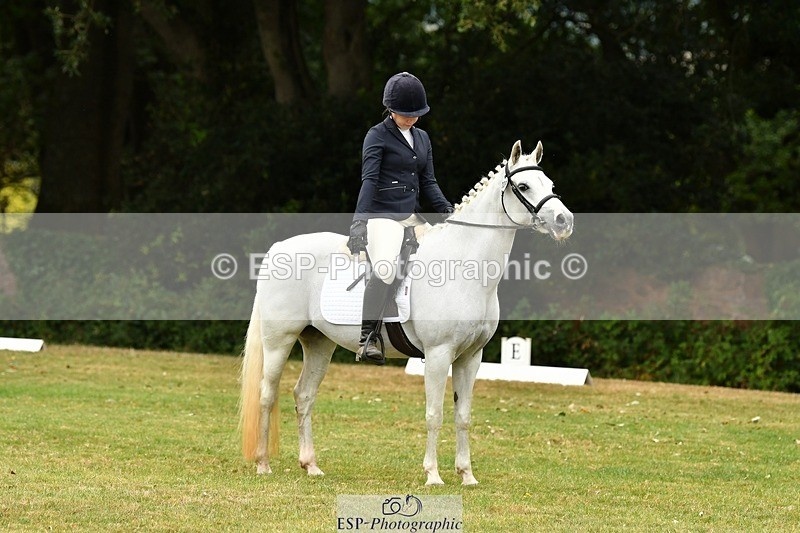 250820A-110307-04876 - 11am to 12