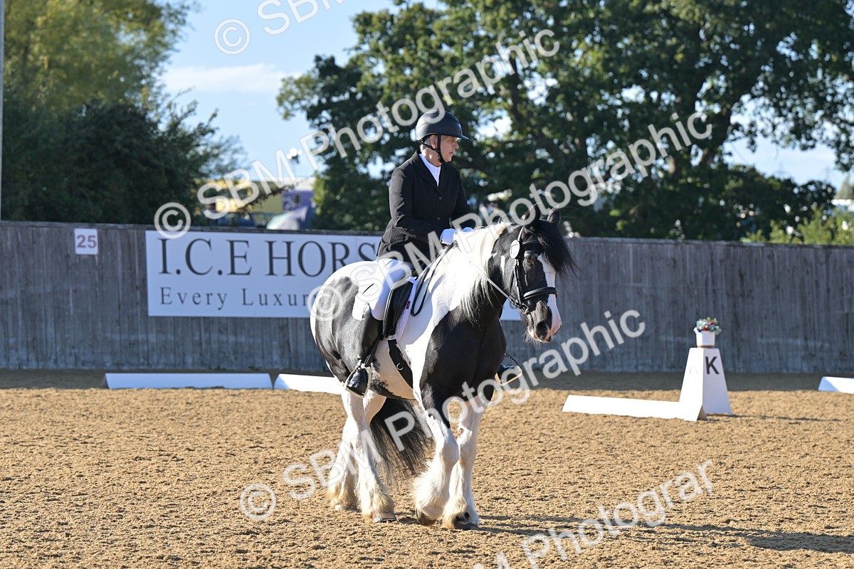 SBM_13019 - D3 - Small Tour Championship Intro 3