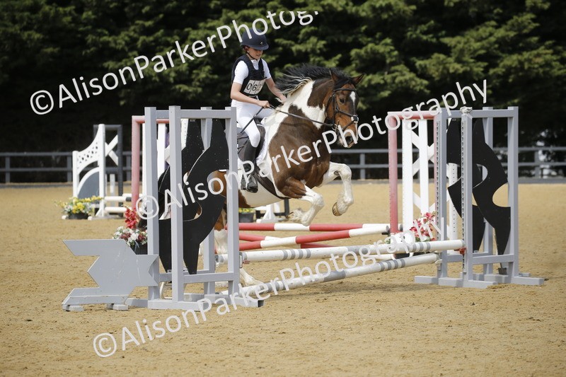 20250622-3884 - 50cm