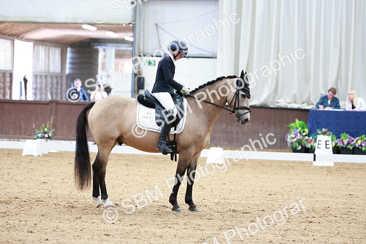 SBM_017209 - Class15 - FEI Pony