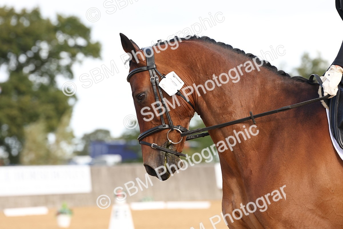 SBM_02403 - D10 - Small Tour Championship Prelim 2