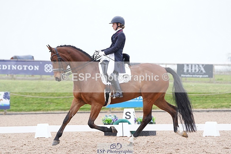 250403-161538-03272 - 028-Elizabeth.Allen-Heraldik