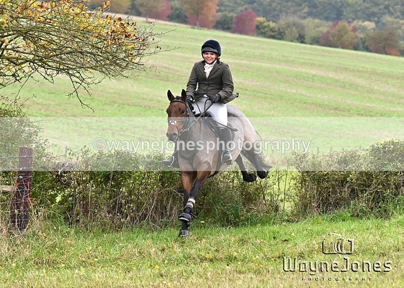 WJ6_1177 - Edited examples