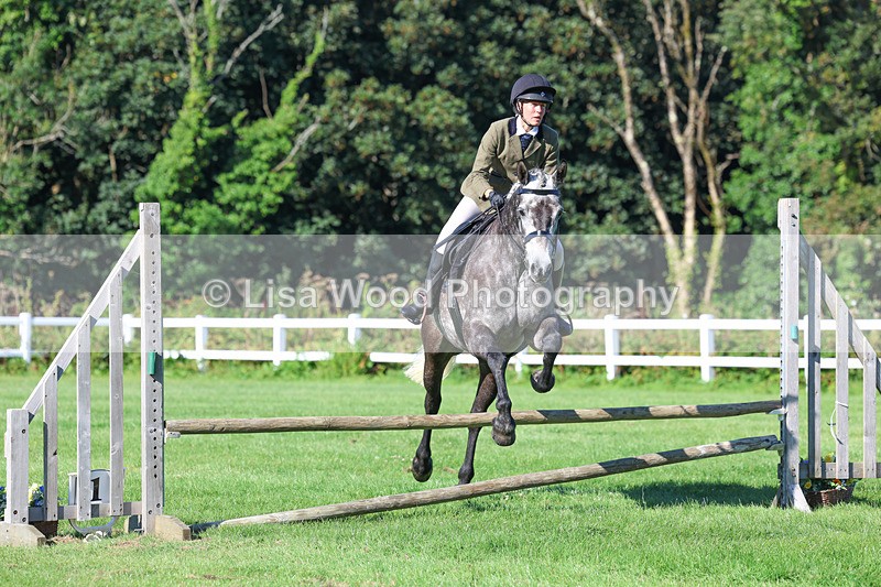 3E7A7757 - Class 2: Open Working Hunter pony