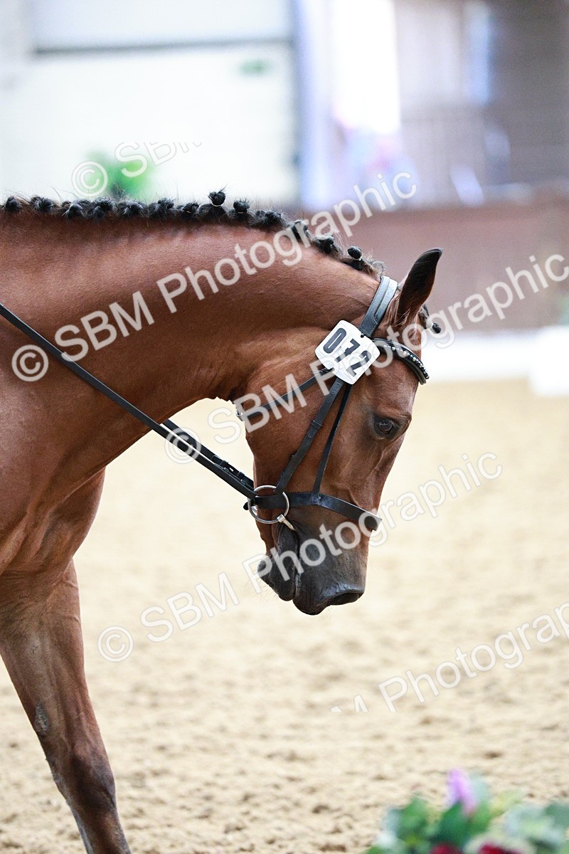 SBM_004752 - Class - 14 - Novice FSM - 11.13-12.01