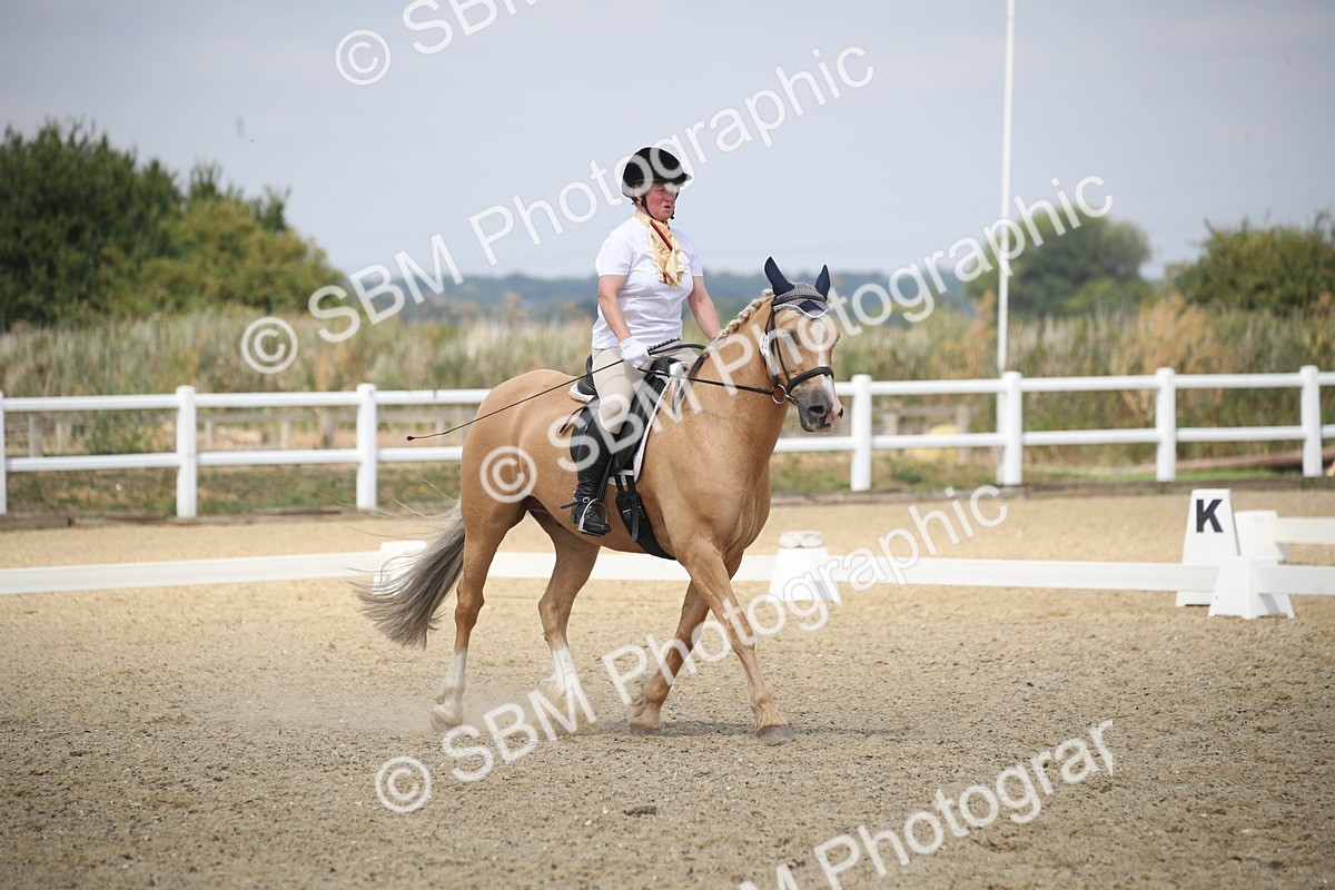 SBM_008206 - Novice 5 - 10.56-13.12