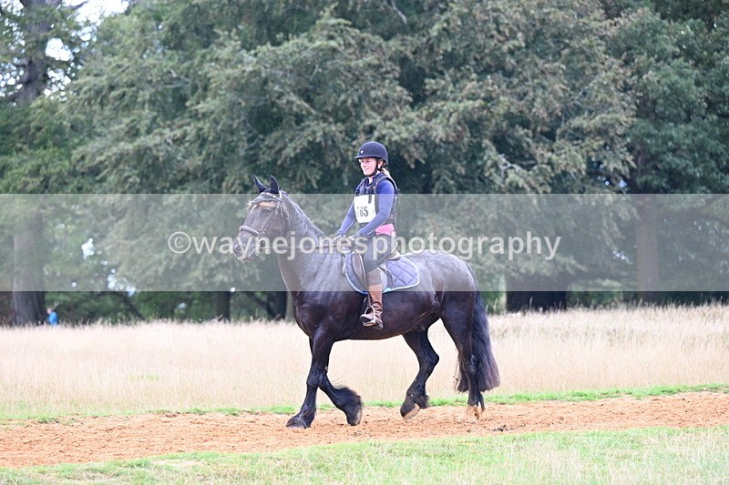 DSC_9587 - Time at Statue 15:11 to 15:58