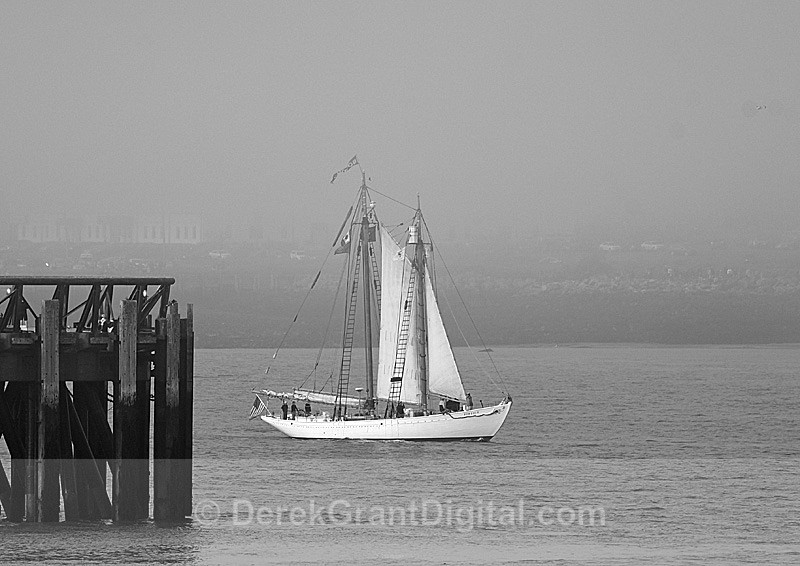 Bowdoin Tall Ships Rendezvous 2017 Saint John New Brunswick Canada - Tall Ships