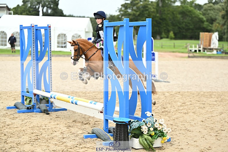 240822X-133225-06508 - 50cm R1 13.00 to 14.00