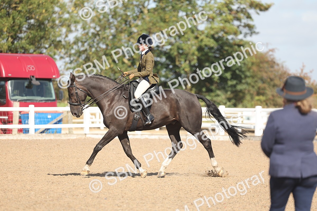 SBM_22664 - Class 805 - Ridden Veteran Horse