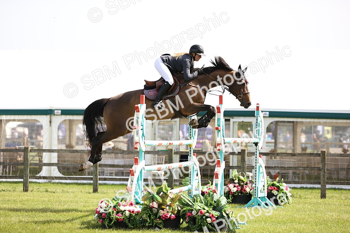 SBM_02956 - Class 201 - British Horse Feedds Speedi Beet HOYS Grade C