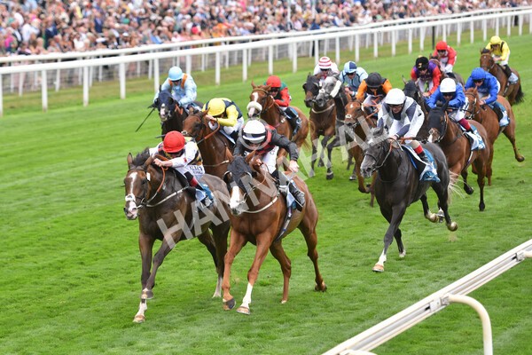 yr18082022r3-36 - Race 3 3.00pm Clipper Logistics Stakes