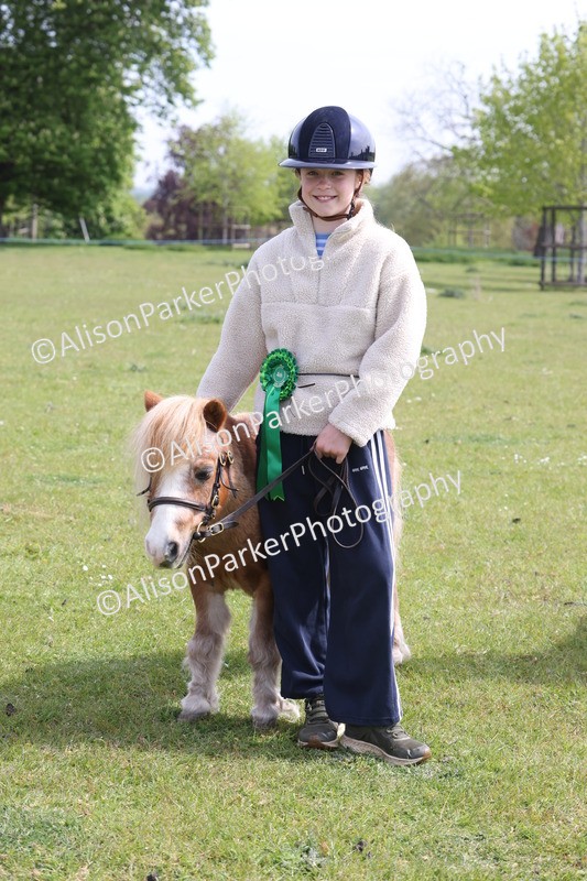 20260426-3224 - Class 26 - Shetland Ponies and Minitures