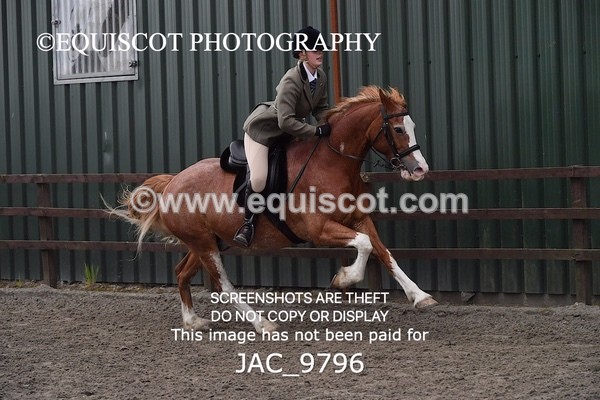 JAC_9796 - CLASS 2 Novice Working Hunter (0.60m - 0.70m)