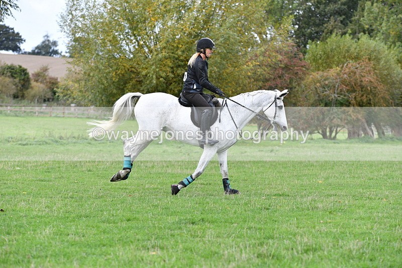 WJ5_9682 - Time 13:03 to 13:25