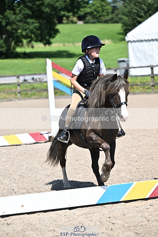240729B-113547-02445 - Showjumping Competition