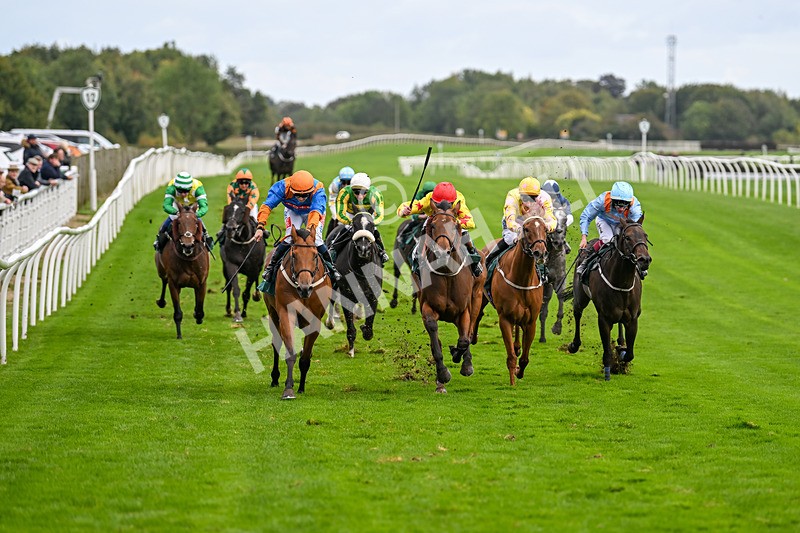 021024-Race 5-Homer Stokes-9518