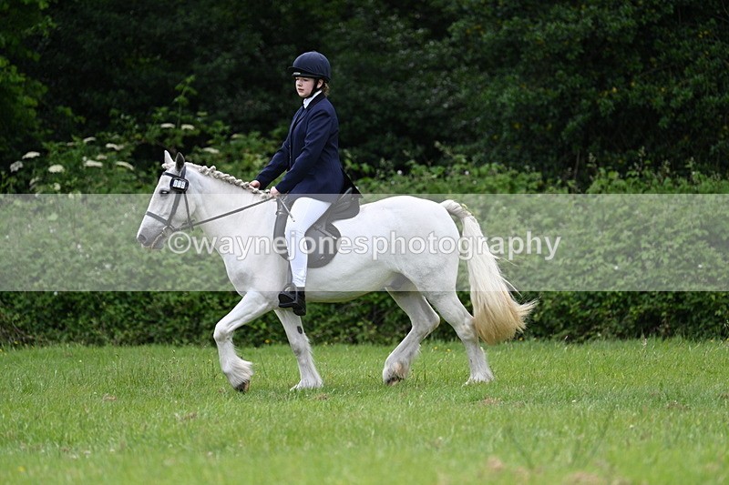 WJ7_2614 - Class 12A Coloured Class