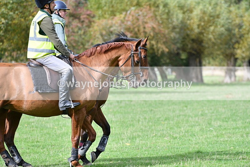 WJ5_9290 - Time 12:34 to 12:57