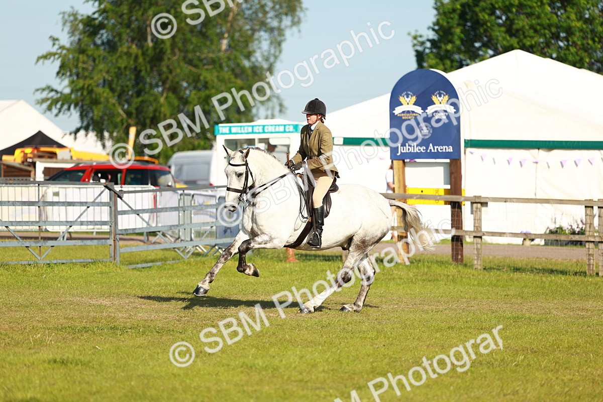 SBM_10770 - Class 66-69 - RIHS Ridden Hunters Inc Small Hunter