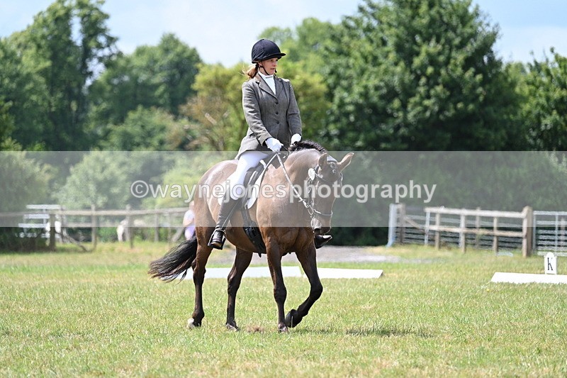 WJ7_4878 - Time 11:22 to 11:51