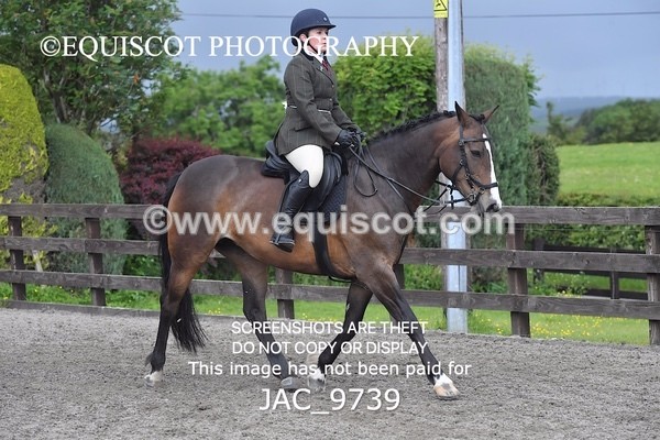 JAC_9739 - CLASS 2 Novice Working Hunter (0.60m - 0.70m)