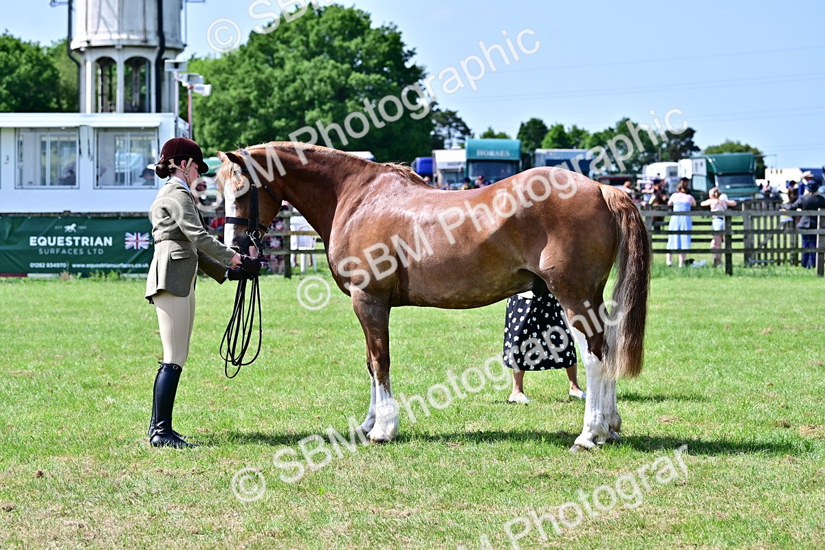 SBM_03908 - Class 58 - TSR  Ridden Veteran Amateur of the year