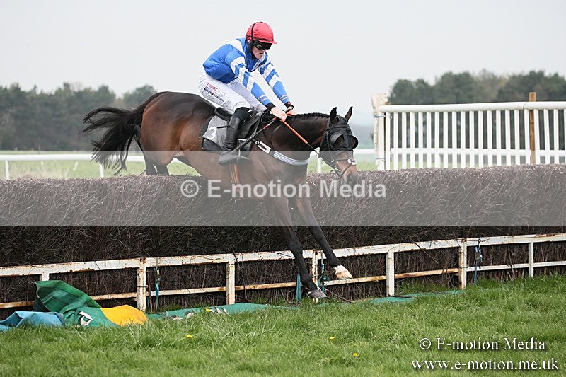 PtP 210418 75 - South & West Wilts Point-to-Point Larkhill 21/04/18