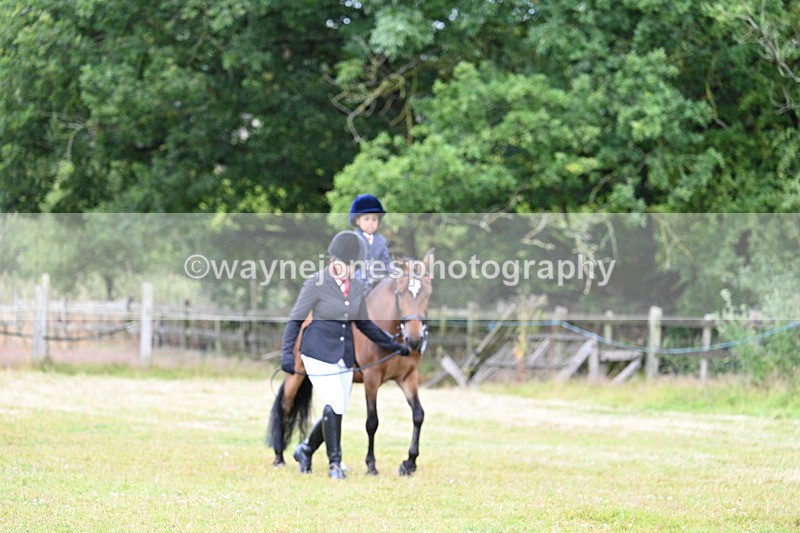 WJ7_4768 - Class 1 Lead Rein Pony