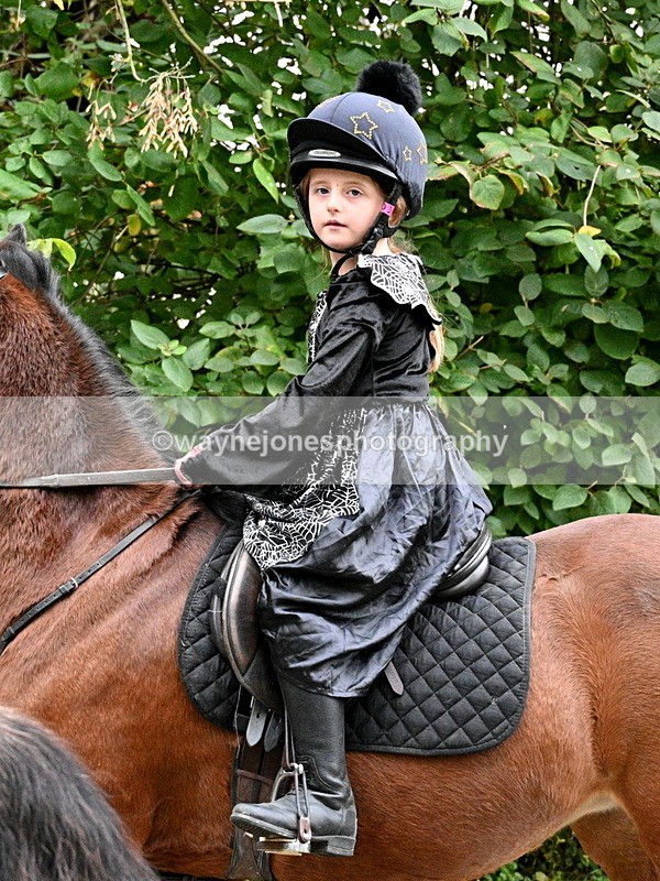 WJ7_6413 - Berks & Bucks - Children's Meet - The Old Farmhouse – Steventon.