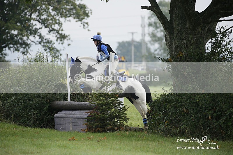 WWHT 171021 0231 - Novice Restricted (0.80m)  17/10/21