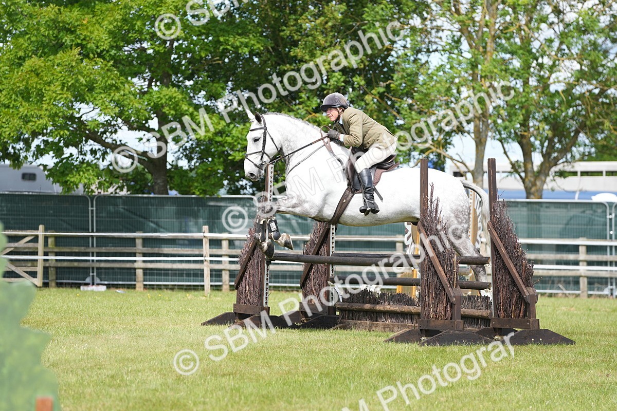 SBM_14860 - Class 100-102 - RIHS Working Hunter