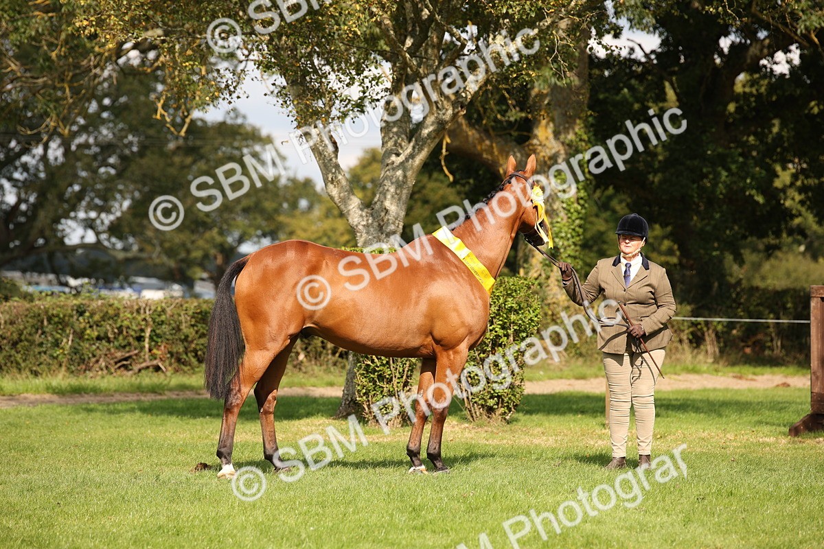 SBM_62936 - In Hand Horse Supreme Championship