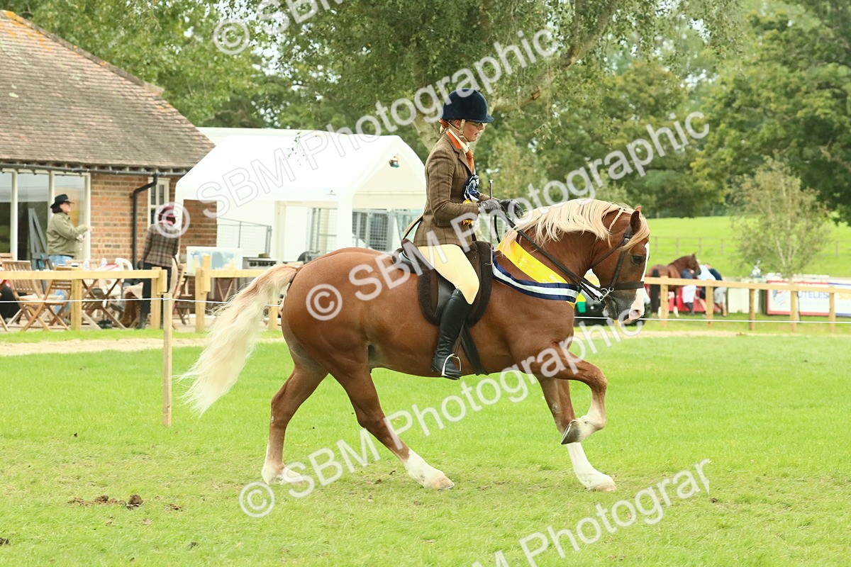 SBM_75171 - Super Supreme Championship