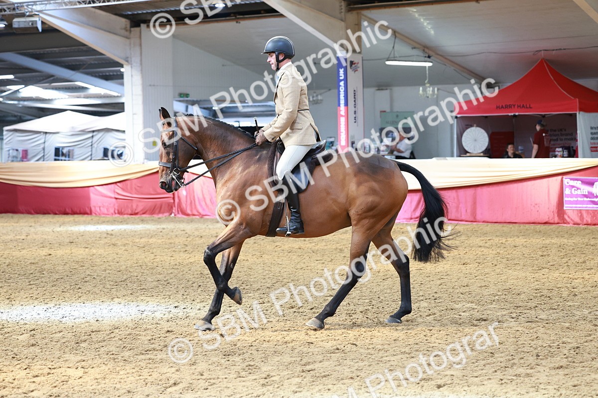 SBM_14926 - Class 108 - Ridden Retired Racehorse