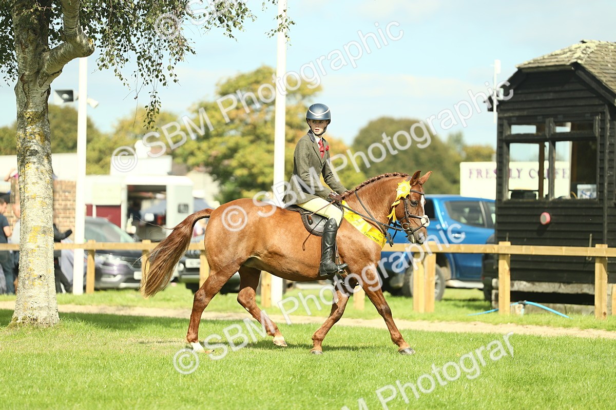 SBM_44910 - Working Hunter Pony Supreme Championship
